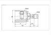 球籠 CV Joint:NI-596-Model