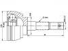 球籠 CV Joint:39100-01A00